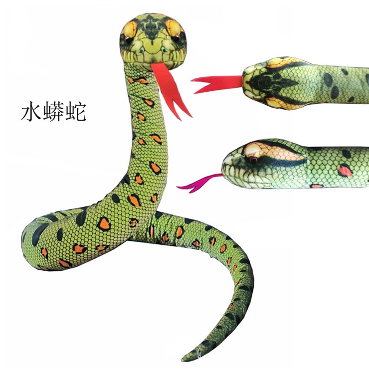 水蟒蛇