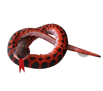 Red Chain Snake