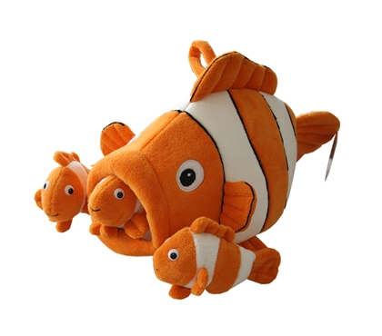 Clownfish