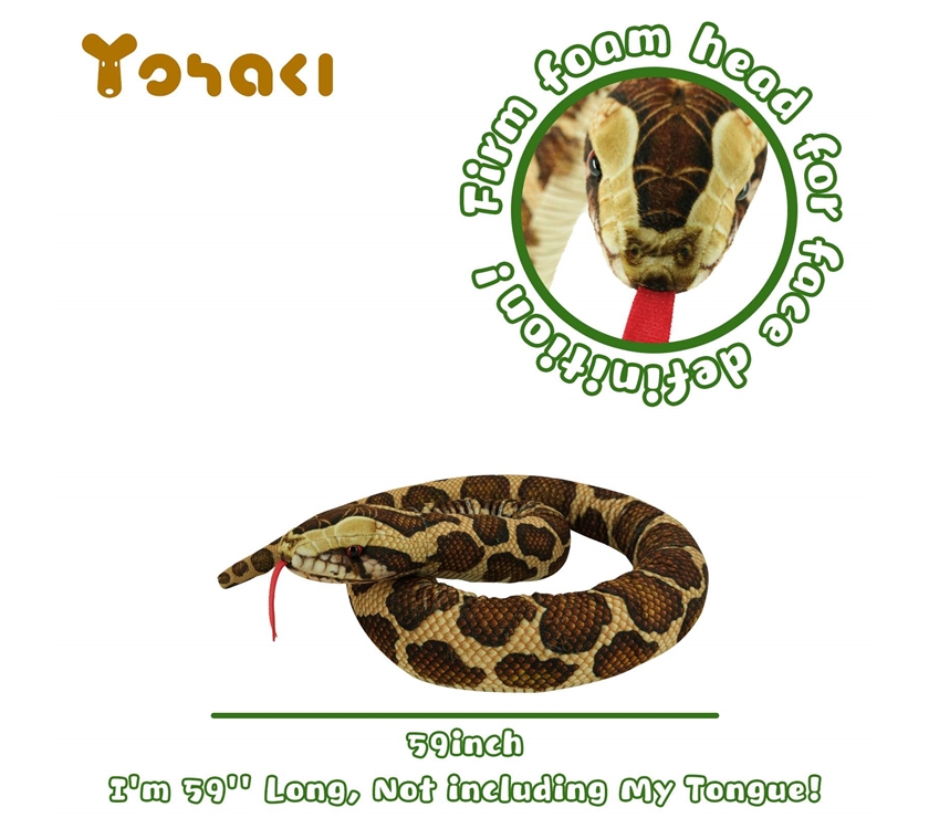 缅甸蟒