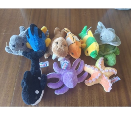10-ocean-animals