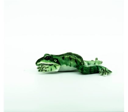 DSC07789 拷贝