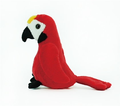 parrot