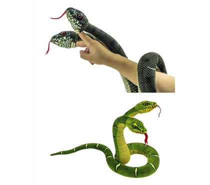 two-headed snake